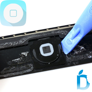 iPad 4 Home Button Replacements
