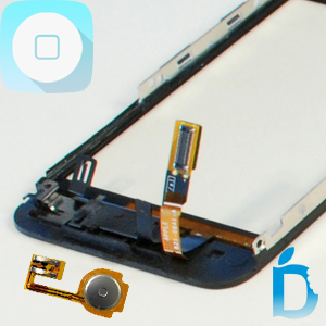 iPhone 3G Home Button Replacements