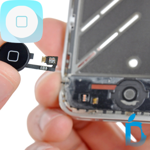 iPhone 4 Home Button Replacements