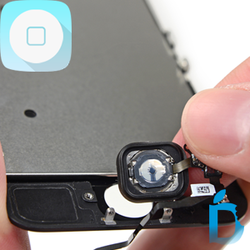 iPhone 5s Home Button Replacements