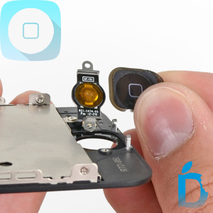 iPhone 5 Home Button Replacements